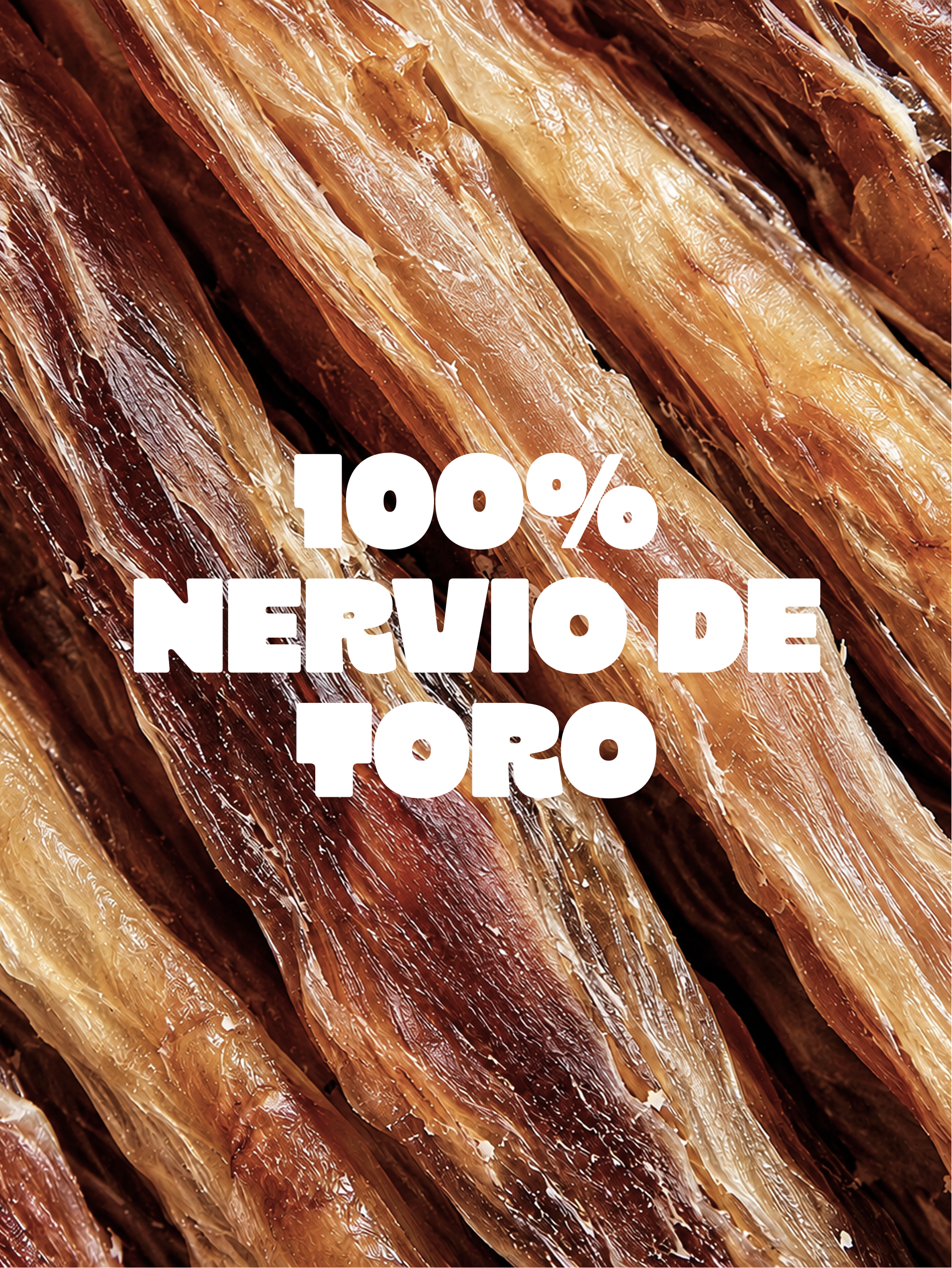 NERVIO DE TORO