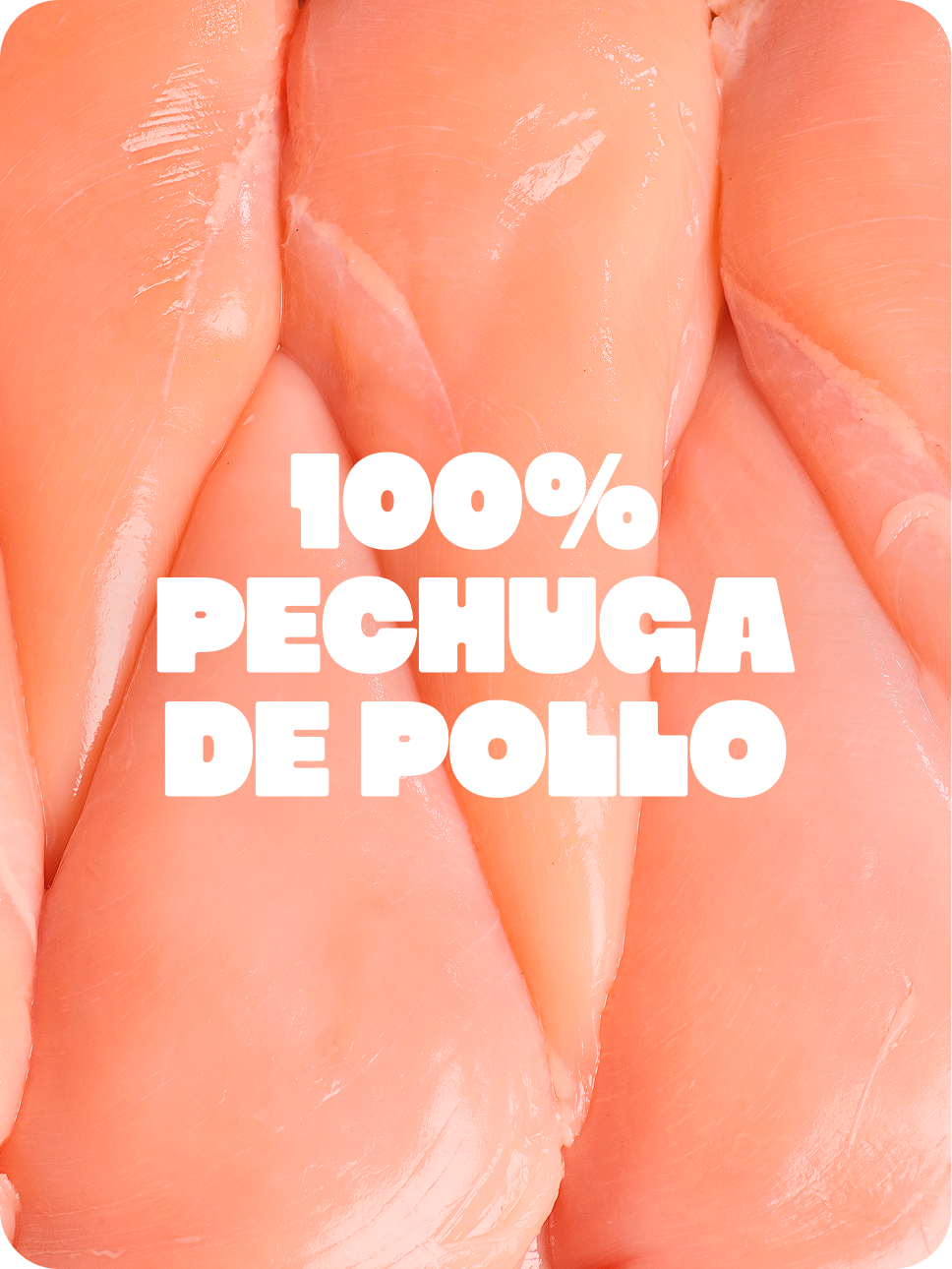 PECHUGA DE POLLO