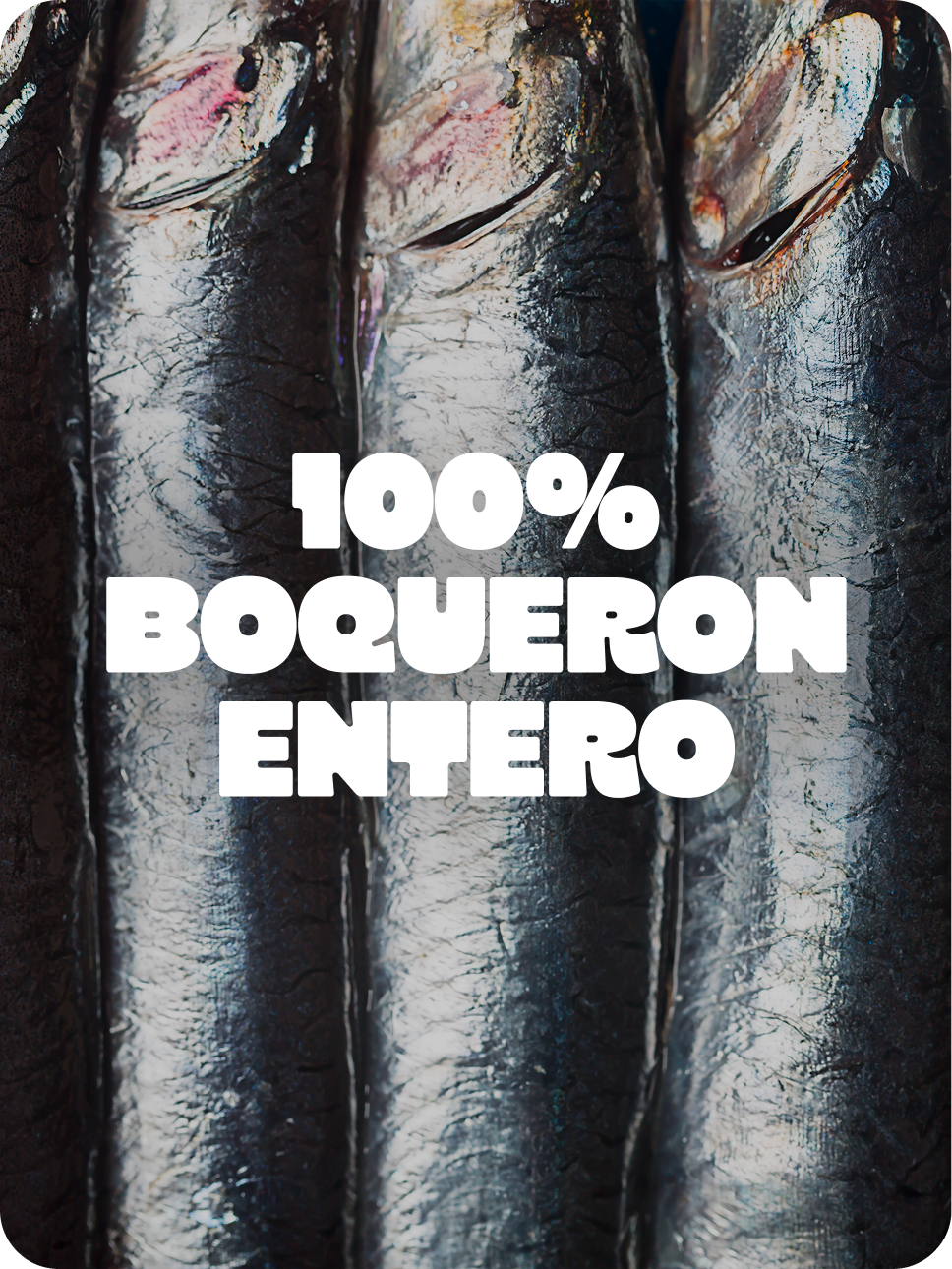 BOQUERÓN ENTERO