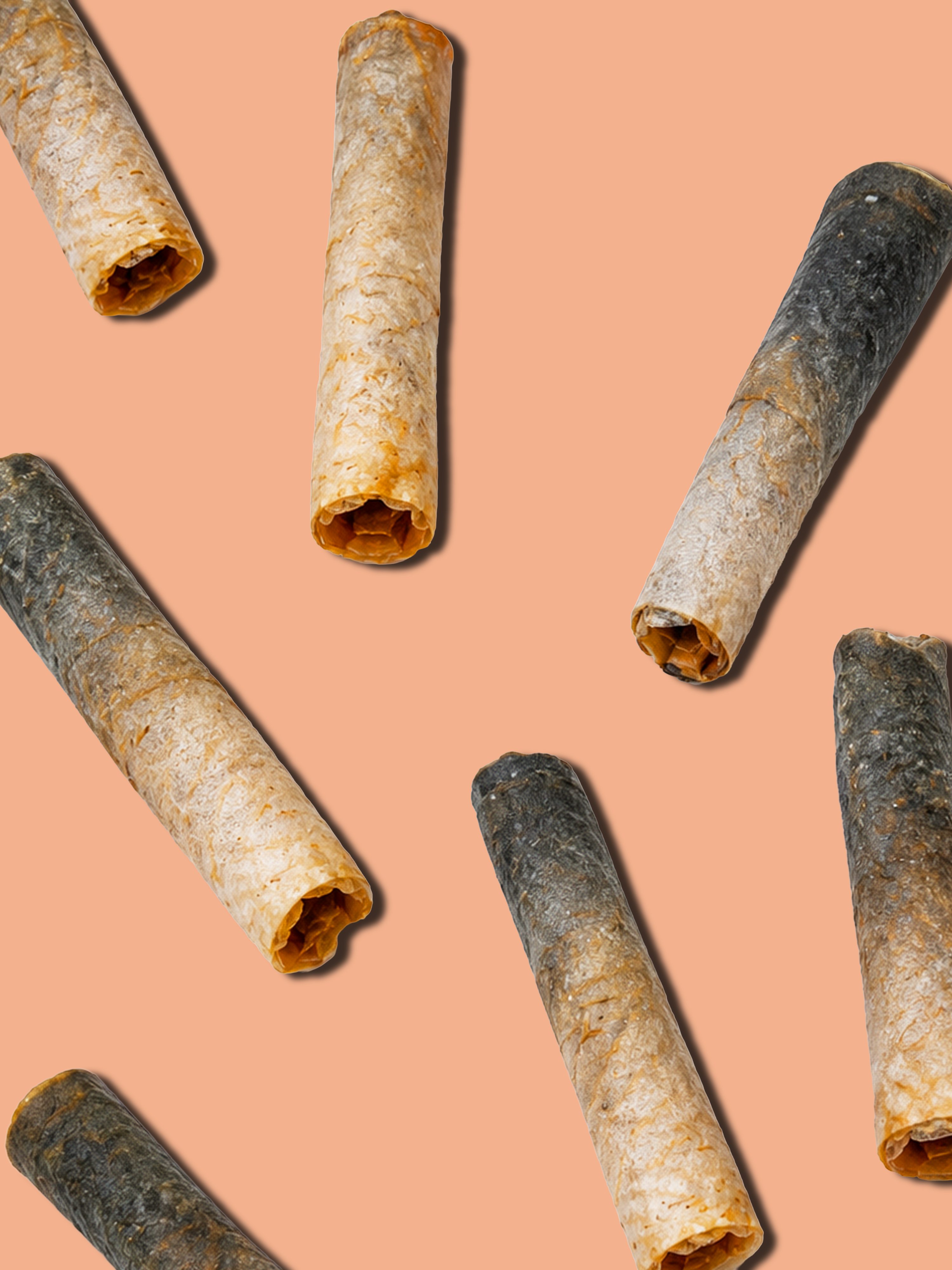 ROLLITOS DE SALMÓN