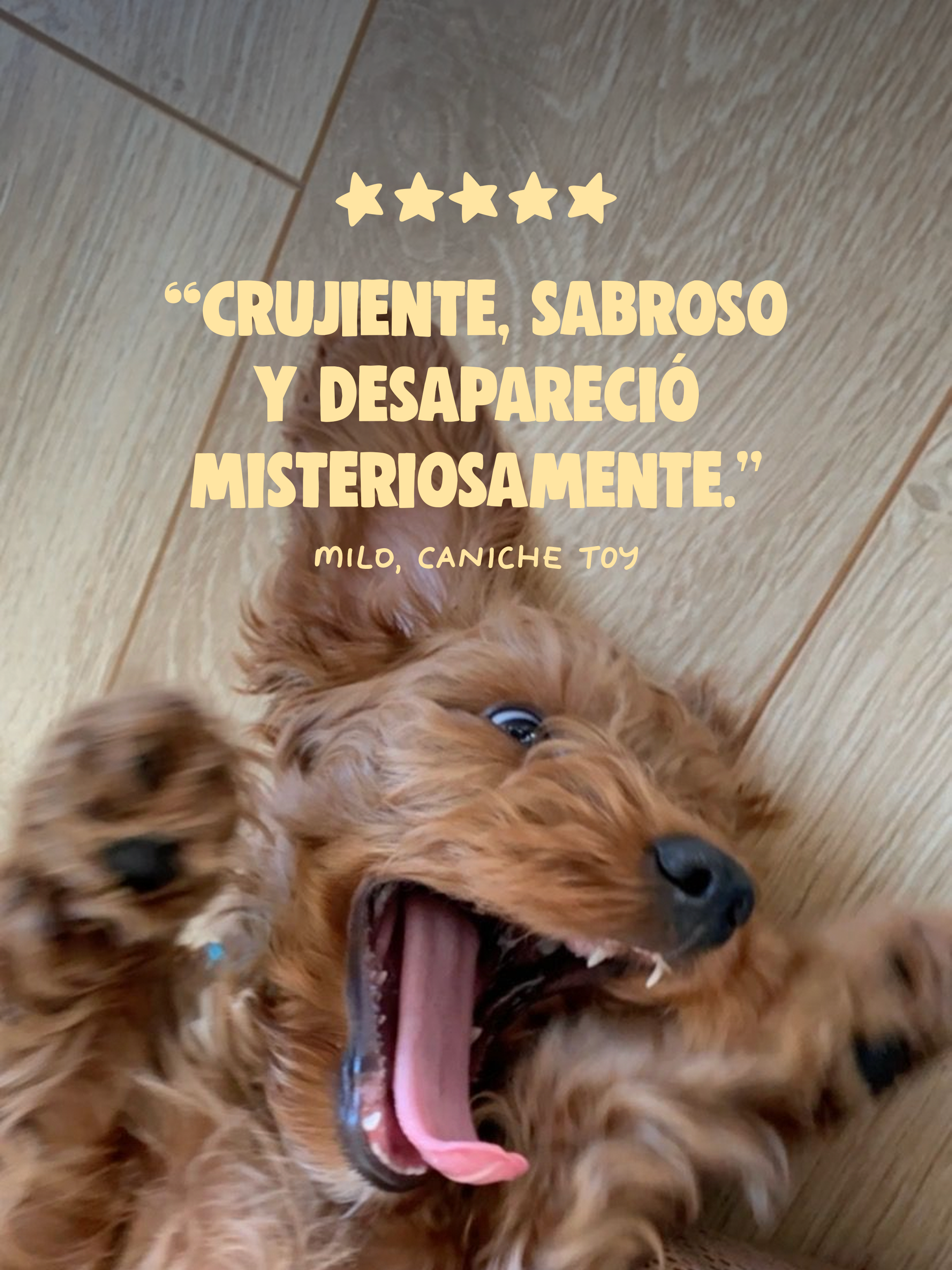 PECHUGA DE POLLO