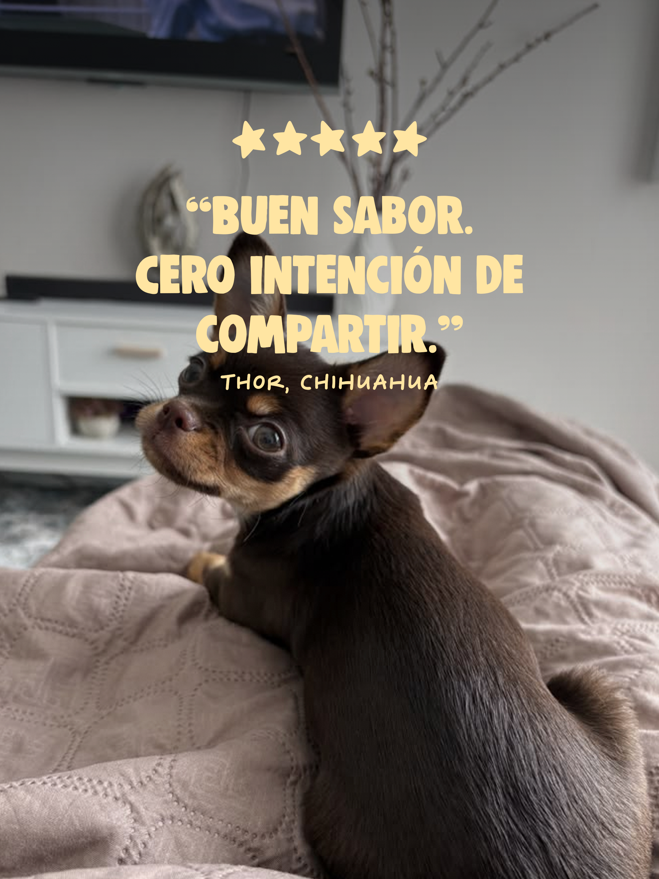 OREJA DE TERNRA