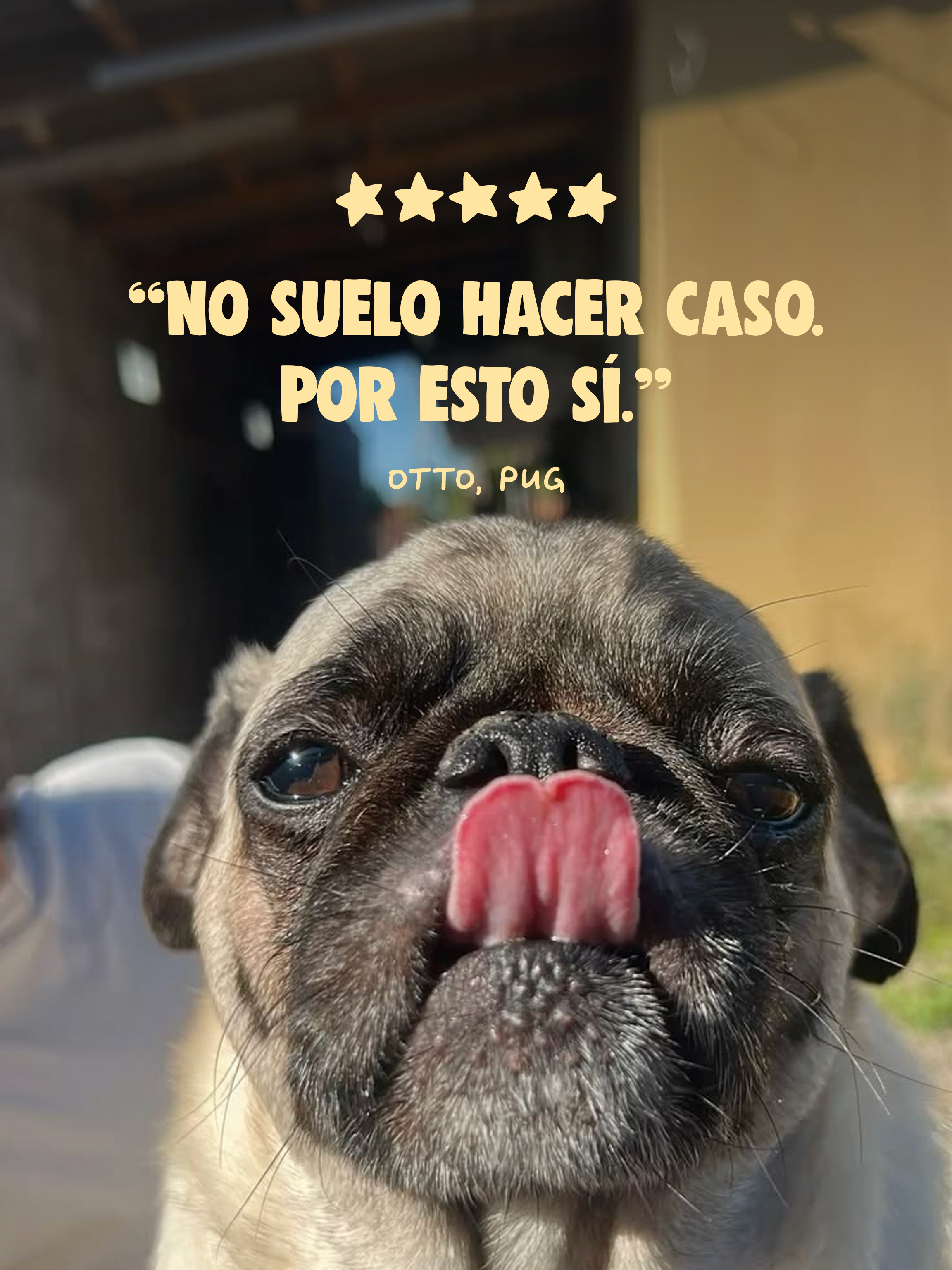 HÍGADO DE TERNERA
