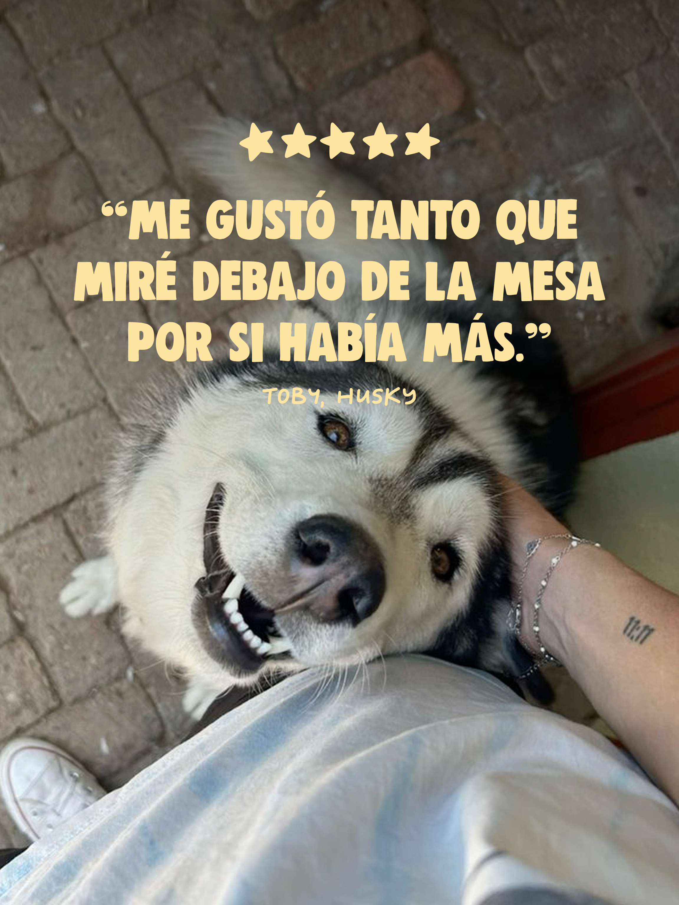 NERVIO DE TERNERA