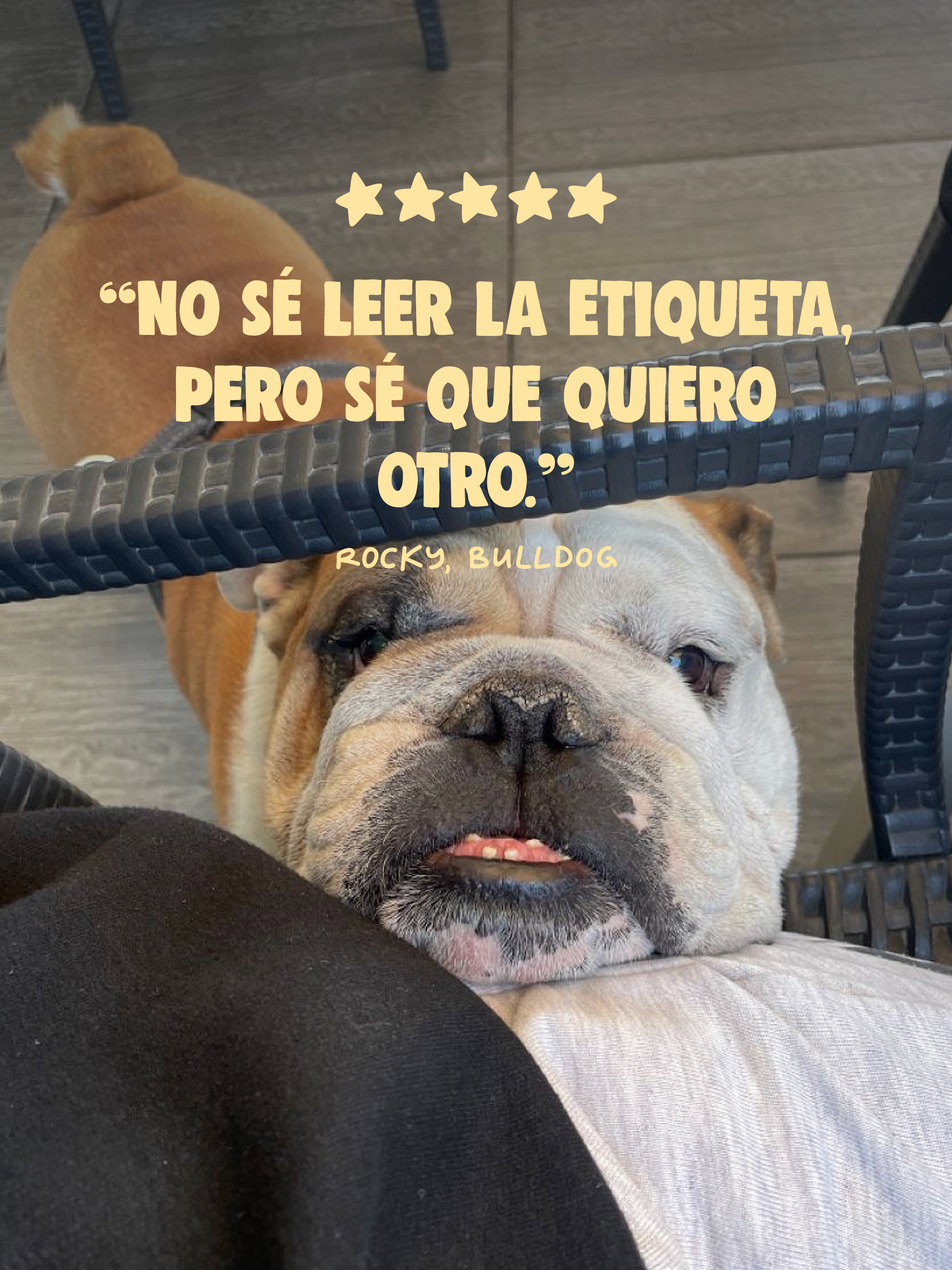TIRAS DE CERDO