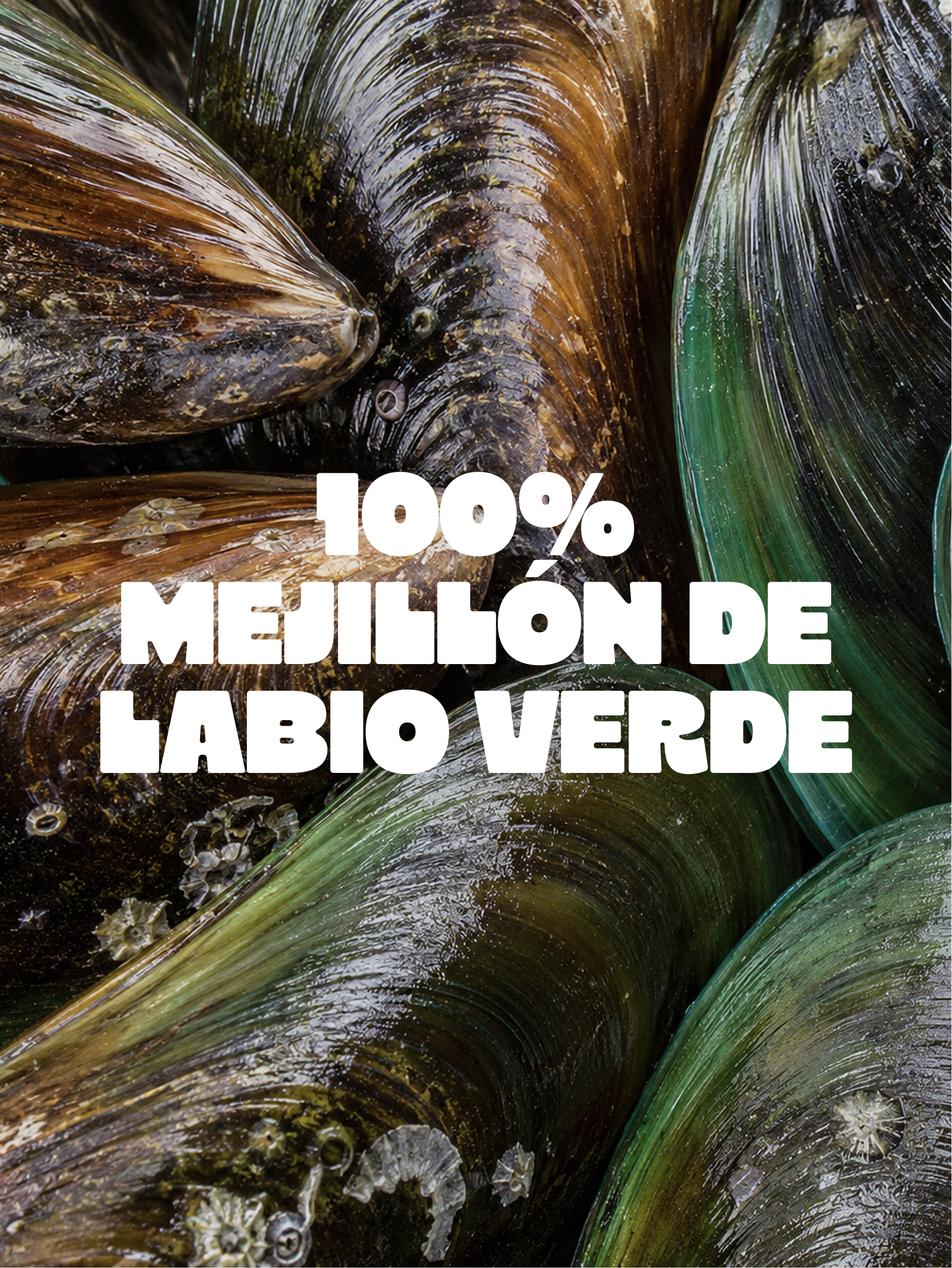 MEJILLÓN LABIO VERDE